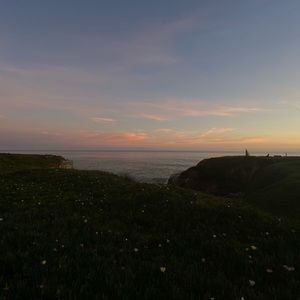 Meet your Posher, Molly